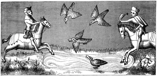 Wie man einen neuen Falken badet, 14. Jahrhundert