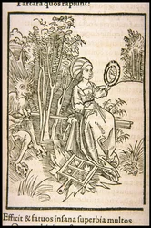 Illustration zum Buch Narrenschiff von Sebastian Brant, 1497