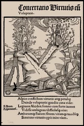 Illustration zum Buch Narrenschiff von Sebastian Brant, 1497