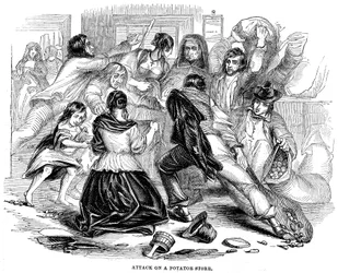 Irische Kartoffel-Hungersnot, 1842