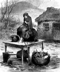 Irisches Bauernmädchen bewacht die letzten Besitztümer der Familie, 1886