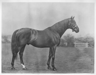 Isinglass-Bucht, 1890-1911, 1911