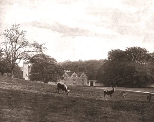 Knole Park, Sevenoaks, Kent