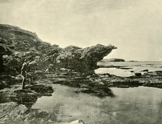 Ebbe, Shelly Beach, Warrnambool, 1901