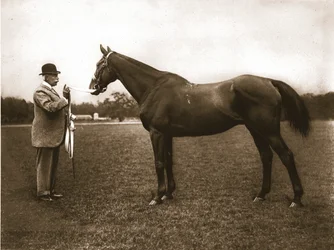 Mr. C. G. Assheton-Smith und Cloister