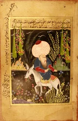 Nasreddin Hodja