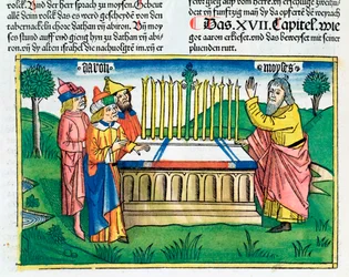 Numeri 17:1-11: Aarons Stab blüht auf dem Altar