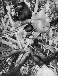 Beobachtungsposten in einem Baum, Woevre, Frankreich, Erster Weltkrieg, um 1914