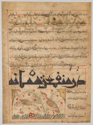Über die Vorteile von Wachteln verso aus einem Manafi al-Hayawan..., ca. 1300