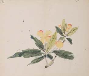 Seite aus Shi Zhu Zhai