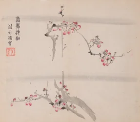 Seite aus Shi Zhu Zhai