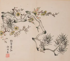 Seite aus Shi Zhu Zhai