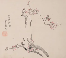 Seite aus Shi Zhu Zhai