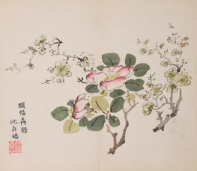 Seite aus Shi Zhu Zhai