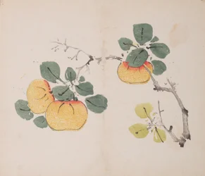 Seite aus Shi Zhu Zhai