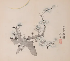 Seite aus Shi Zhu Zhai