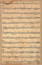 Seite aus Geschichten eines Papageis Tuti-nama: Textseite, ca. 1560