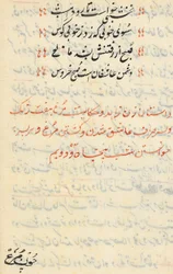 Seite aus den Geschichten eines Papageis Tuti-nama: Textseite, ca. 1560