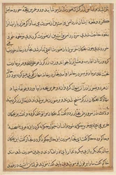 Seite aus den Geschichten eines Papageis Tuti-nama: Textseite, ca. 1560