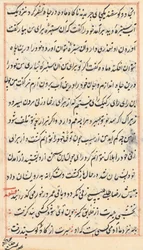 Seite aus Geschichten eines Papageis Tuti-nama: Textseite, um 1560