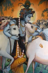 Gemälde des hinduistischen Gottes Krishna, der Kühe umarmt, Indien