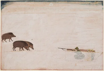 Raja Ram Chand von Amber jagt Wildschweine, reg. 1667-1688, ca. 1670