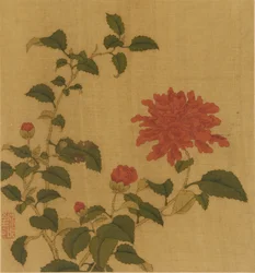 Rote Pfingstrose, Qing-Dynastie, 18. Jahrhundert