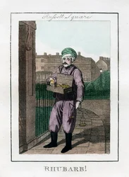 Rhabarber, Russell Square, London, 1805