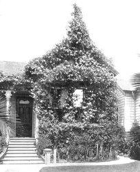 Rose Cottage, South Spring Street, Los Angeles, Kalifornien, USA, ca. 1900
