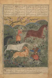 Rustam fängt das Pferd Rakhsh, Folio aus einem Shahnama Buch der Könige