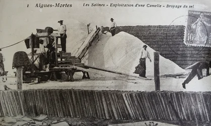 Salinen, Camargue, Aigues-Mortes, Provence, Frankreich