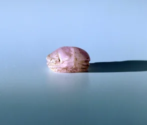 Skarabäus in Amethyst, altägyptisch, 13. Jahrhundert v. Chr.