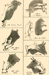 Schattenbilder und Silhouetten, 1883