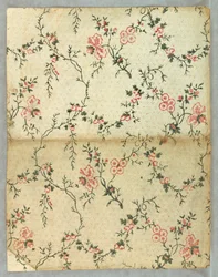 Seitenwand (USA), 1850–1900