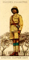 Singapore Volunteer Corps, 1936