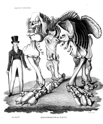 Skelett eines Megatheriums, eines ausgestorbenen Riesenfaultiers, 1823
