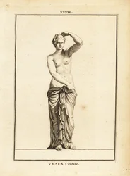 Statue der Venus Celeste, römische Göttin der Liebe, Schönheit, Sexualität und Fruchtbarkeit
