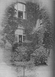 Sommer bei The Pines, um 1909, 1934