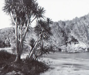 Te Waihou Fluss, Okoroire