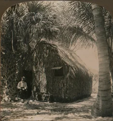 Reetgedecktes Cottage in Cocoanut Grove, Florida, USA, ca. 1900