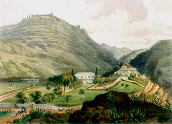 The Briars, St. Helena, frühes 19. Jahrhundert, 1851
