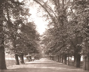 The Broad Walk, Oxford, 1894