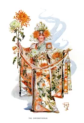 Die Chrysantheme