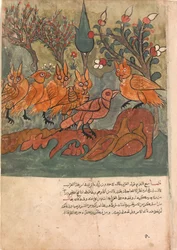 Die Krähe Spion spricht mit dem König der Eulen und seinen Ministern, Folio aus einem Kalila..., 18. Jahrhundert