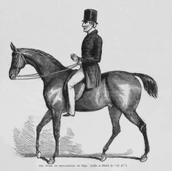 Der Herzog von Wellington, um 1842