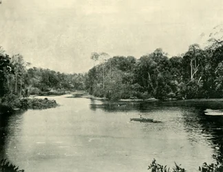 Das Ennoggera-Reservoir, 1901