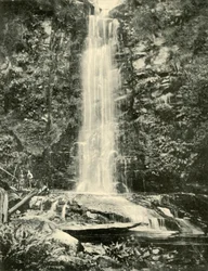 Die Erskine-Fälle, in der Nähe von Lorne