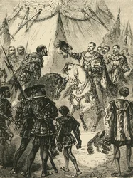 Das Feld des Goldenen Tuchs, 1520, 1890