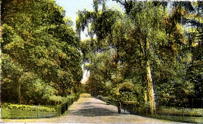Der Blumenweg, Kensington Gardens, London, 20. Jahrhundert