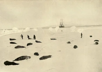 Die Nimrod am Pram Point am 4. März 1909